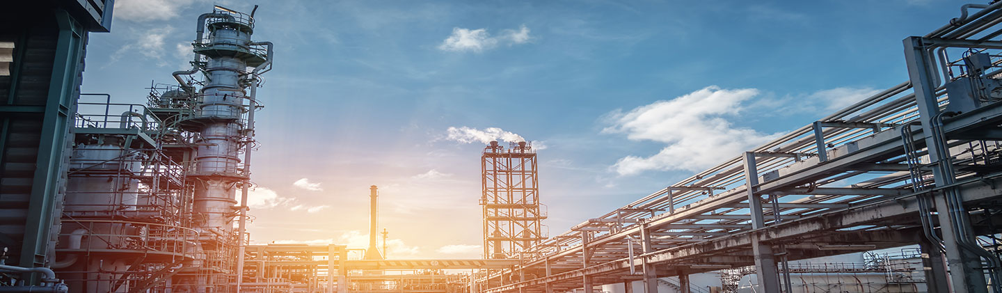 edelweissmf image
